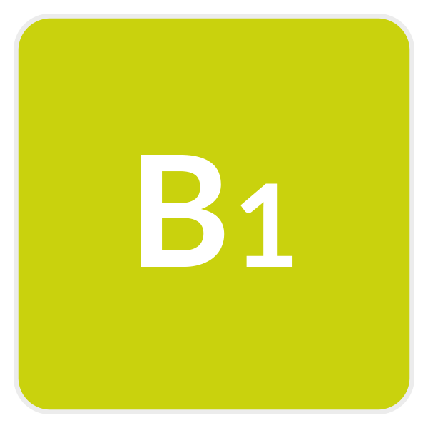 Boton-Nivel-B1
